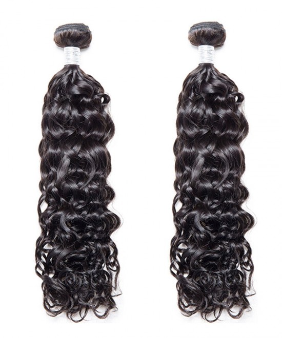 Dolago 2 Pcs Water Wave Brazilian Virgin Hair Bundles Cutile Kept Remy Hair Weaves