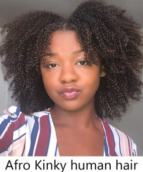 Afro kinky curly human hair lace front wigs T part lace wigs
