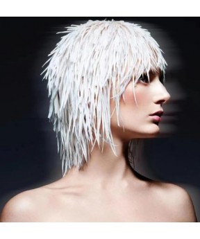 Dolago Natural Colorful Goose Biot Feathers for ornamentation Jewelry Making Millinery Crafts Feather Decoration Assesoires Fly Tying Material Plume