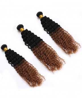 Dolago Ombre Human Hair Bundles 3 Pcs Afro Kinky Curly Hair Bundles 1B/30