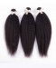 Dolago Peruvian Virgin Hair Kinky Straight 100% Human Virgin Hair Weave 3 Bundles 