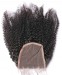Dolago 100% Human Hair Top Closure 4x4 Lace Closure Afro Kinky Curly 