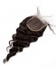 Dolago Brazilian Remy Human Hair  4x4 Cuticle Aligned Hair Loose Wave Lace Closure