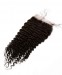 Dolago Brazilian Virgin Hair Kinky Curly Human Hair Lace Closure 4x4 Lace Size