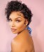 Dolago Short Pixie Cut Wigs For Black Women Brazilian 6 inch Bob Curly African American 13x1 Lace Frontal Human Hair High Quality Pixie Wigs Online Sale