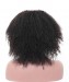 Dolago Hair Wigs Afro Kinky Curly 370 Lace Front Wig Pre Plucked With Baby Hair Curly Human Hair Wigs For Black Women