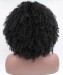 Dolago Afro Kinky Curly Synthetic Wig Lace Front Wig For Black Women