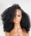 Dolago Glueless Afro Kinky Curly HD Lace Front Wigs Brazilian Human Hair For Sale 150% 4B 4C Curly Invisible Lace Wigs Pre Plucked For Black Women Natural High Quality HD Wigs With Baby Hair Pre Bleached Online