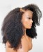 Afro kinky curly transparent full lace wigs with baby hair pre plucked