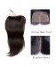 Dolago Brazilian Virgin Human Hair Straight 4x4 Free Part Silk Base Closure