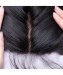 Dolago Brazilian Virgin Human Hair Straight 4x4 Free Part Silk Base Closure