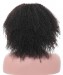 Dolago Hair Wigs Breathable Cap 13x6 Lace Front Wigs Afro Kinky Curly 150% Density Human Virgin Hair Wigs Pre Plucked With Baby Hair