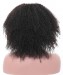 Dolago 4B 4C Afro Kinky Curly 360 Lace Front Wig Human Hair Pre Plucked For Black Women 150% American African Curly 360 Full Lace Wigs With Baby Hair For Sale High Quality HD Lace Wigs Pre Bleached Can Be Dyed