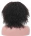 Best undetectable hd lace wigs for women with invisible knots 
