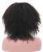 Invisible lace wigs afro kinky curly for sale