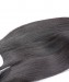 Dolago 100% Human Hair 2 Pcs Straight Brazilian Virgin Hair Bundles Natural Black 