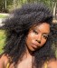 Dolago Hair Wigs Afro Kinky Curly 250% High Density Lace Front Wigs For Black Women Virgin Brazilian Human Hair Wigs Pre Plucked With Baby Hair
