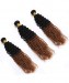 Dolago Ombre Human Hair Bundles 3 Pcs Afro Kinky Curly Hair Bundles 1B/30  