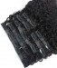 dolago good quality Kinky Curly Human Hair Pu Clip Ins for sale  