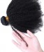 Dolago African American Afro Kinky Curly Human Hair Bundles With Closure For Women High Quality 4B 4C Afro Curly 3 PCS Bundles And 4x4 Lace Frontal Closure 12A Grade Wholesale For Salon Online Shop