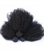 Dolago African American Afro Kinky Curly Human Hair Bundles With Closure For Women High Quality 4B 4C Afro Curly 3 PCS Bundles And 4x4 Lace Frontal Closure 12A Grade Wholesale For Salon Online Shop