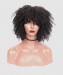 Dolago 250% Density None Lace Wigs Styled Curly Wig With Bang 14 Inches