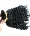 Dolago Good Quality 2Pcs Brazilian Human Hair Kinky Curly Weave Hair Bulk Extensions For Wigs Making 10-28 Inches Kinky Curly Bulk Hair For Braiding Online Sale Now 