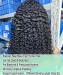 Dolago Natural 3B 3C Kinky Curly 13x6 Lace Front Human Hair Wigs With Curly Baby Hair For Black Women 150% Brazilian Transparent Front Lace Wig Pre Plucked With Cheap Price Frontal Wigs Free Shipping Online