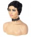 None Lace Human Hair Wigs For Women Free Shipping