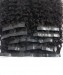 dolago good quality Kinky Curly Human Hair Pu Clip Ins for sale  