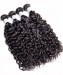 Dolago 2 Pcs Water Wave Brazilian Virgin Hair Bundles Cutile Kept Remy Hair Weaves