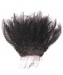 Dolago 100% Human Hair Top Closure 4x4 Lace Closure Afro Kinky Curly 