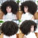 Afro Kinky Curly 360 Lace Frontal Human Hair Wigs 