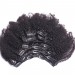 Afro Kinky Curly Clip In Human Hair Extensions