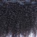 3B 3C Kinky Curly Clip In Human Hair Extensions