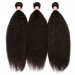 Dolago Kinky Straight Lace Closure with 3 Bundles Natural Color 100% Human Hair Weaves