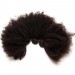 Dolago Afro Kinky Curly Lace Closure with 3 Bundles 100% Human Hair Bundles with Closure