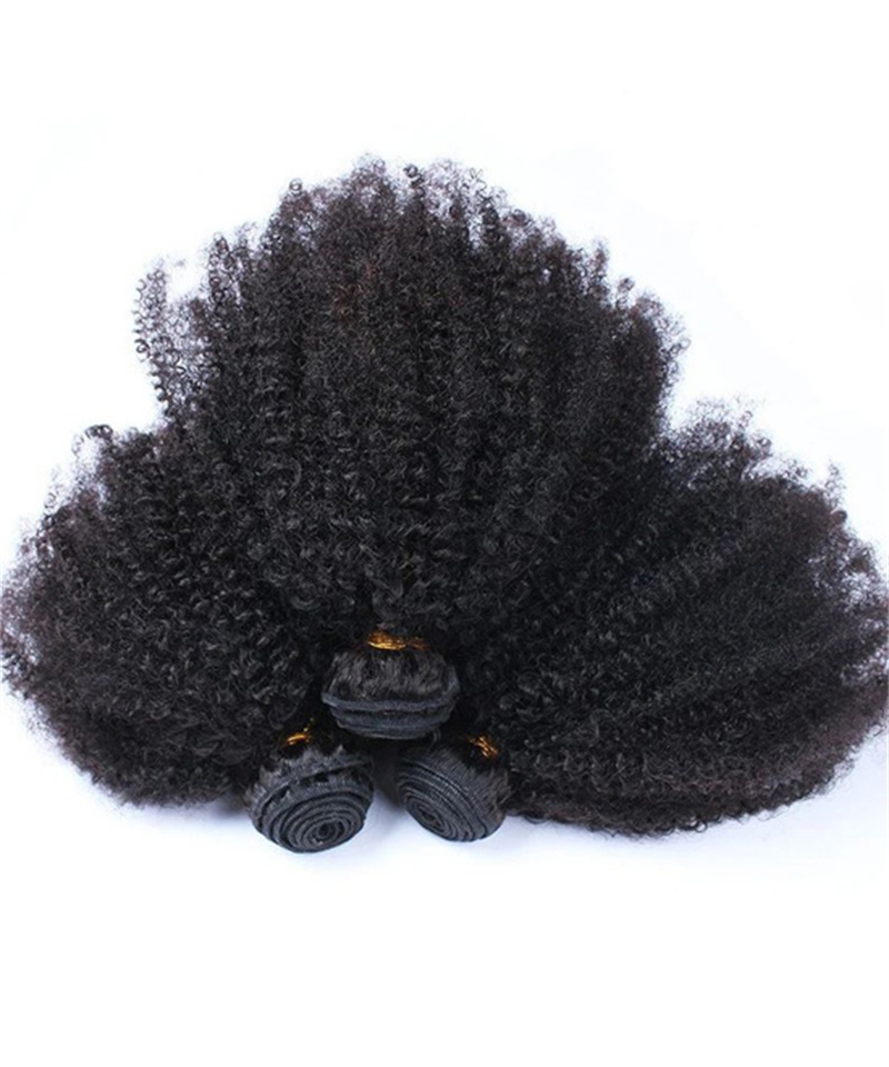 Dolago African American Afro Kinky Curly Human Hair Bundles With Closure For Women High Quality 4B 4C Afro Curly 3 PCS Bundles And 4x4 Lace Frontal Closure 12A Grade Wholesale For Salon Online Shop
