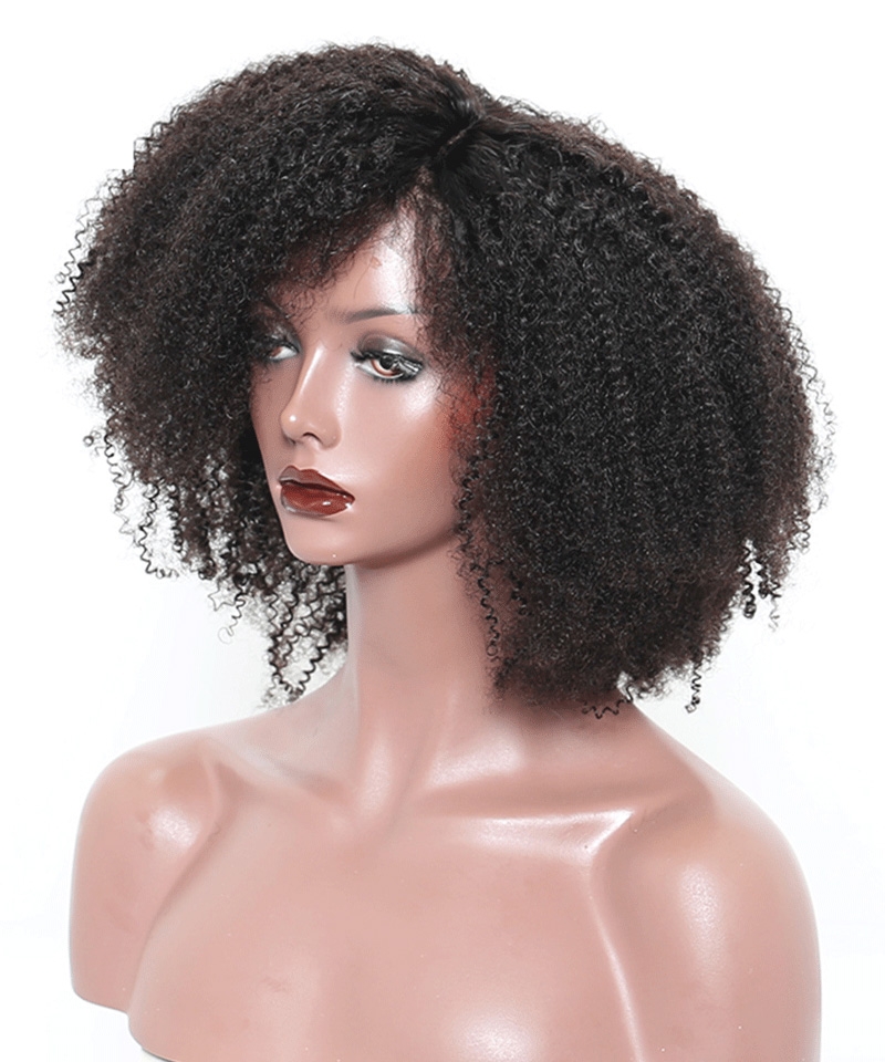 Dolago 250 African Afro Kinky Curly Lace Front Human Hair Wigs For