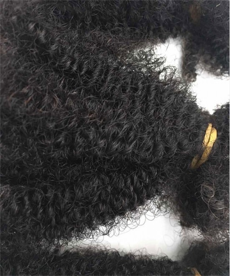Dolago 2 Pics Loc Human Hair Extensions For Braiding Online Sales 100% Dreadlock Afro Kinky Curly Human Braiding Hair Bulk No Attachment Mongolian Afro kinky Curly Crochet Braids