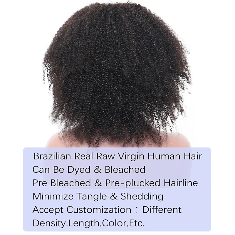 Dolago 250% Afro Kinky Curly Human Hair Lace Front Wigs For Black Women Brazilian Curly Pre Plucked 13x6 Lace Front Wig With Natural Baby Hair For Sale Glueless Front Lace Wig Can Be Dyed Free Shipping